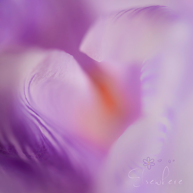 463079358_8465887256843391_5983024159117352591_n