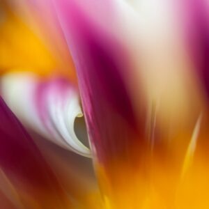 Bursting with Energy