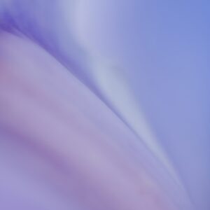 Drifting Between Worlds