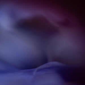 The Distance Between